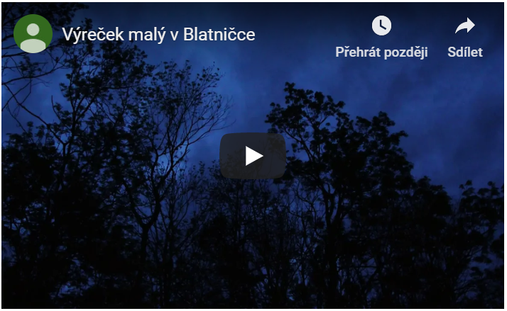 vyrecek video